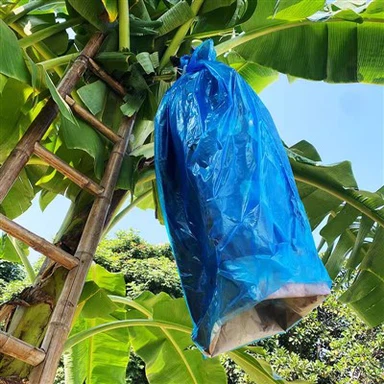 Heatseal-plastic blauwe PE-zak voor bananentroshoezen 20-200micron